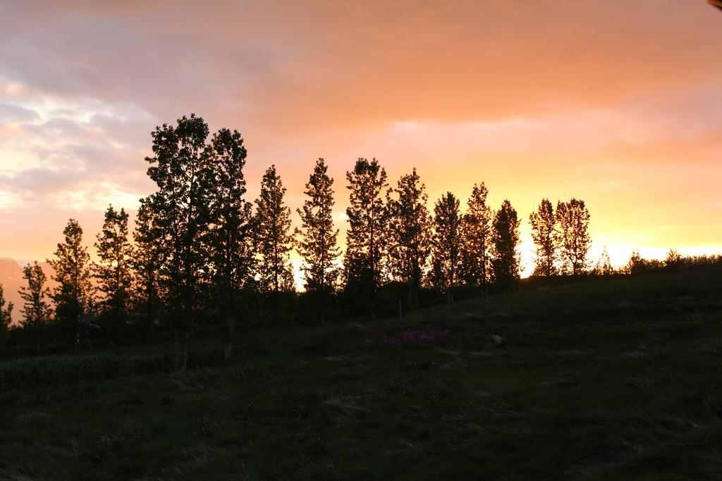 Akureyri Log Cottage Eksteriør billede